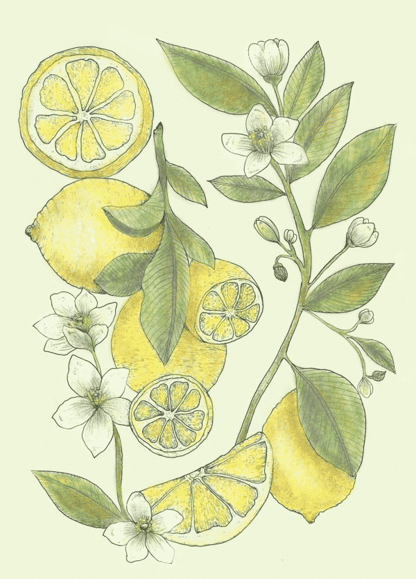 Citron