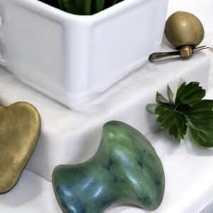 gua sha champignon