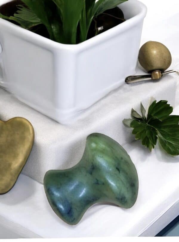 gua sha champignon